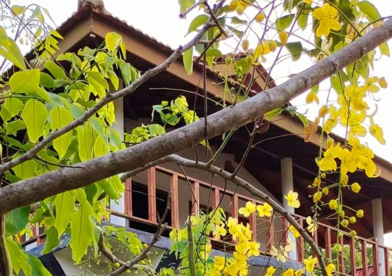 Pearl Cave Cabanas & Resturant Тангалла Экстерьер фото